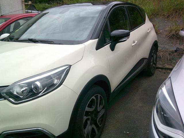 Captur image 1