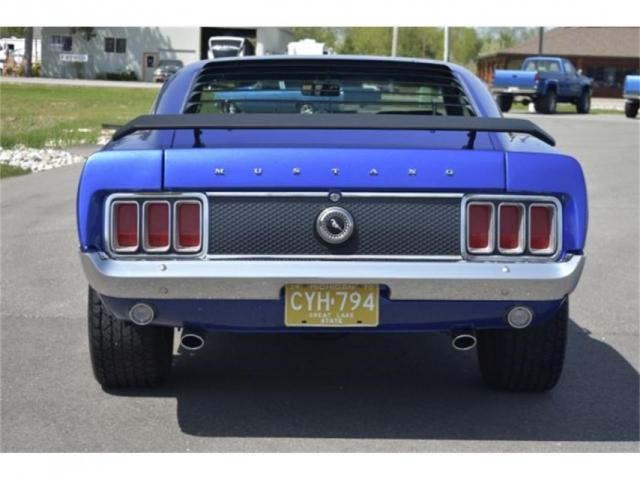 Mustang image 2
