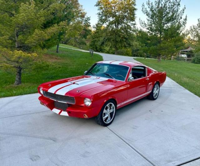 Mustang image 1