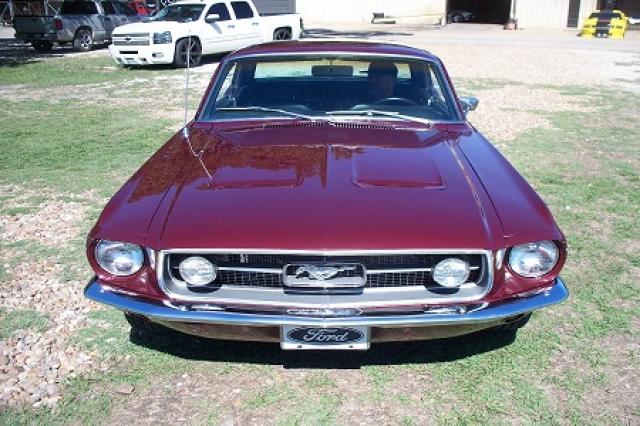 Mustang image 3