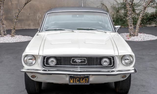 Mustang image 9