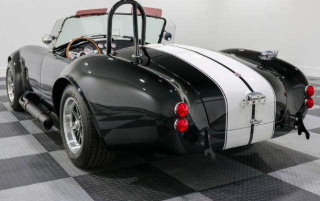 Cobra image 1