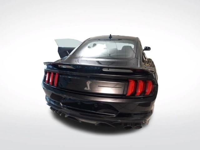 Mustang image 6