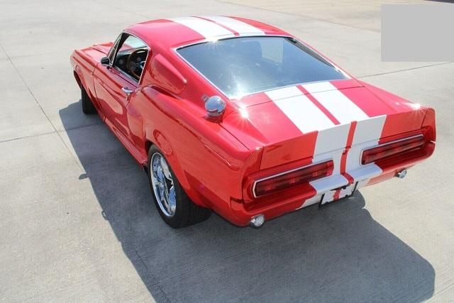 Mustang image 2