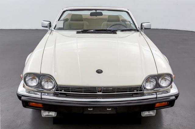 Xjs image 6