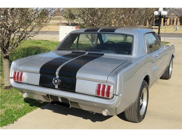 Mustang image 8