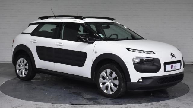 C4 Cactus image 9