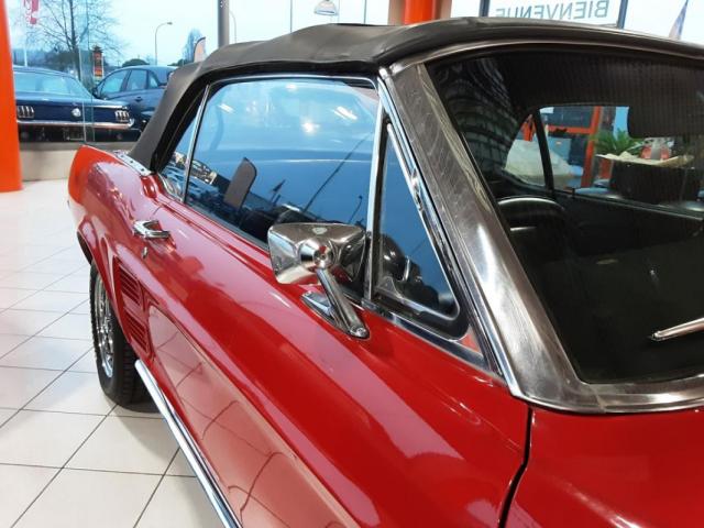 Mustang image 6