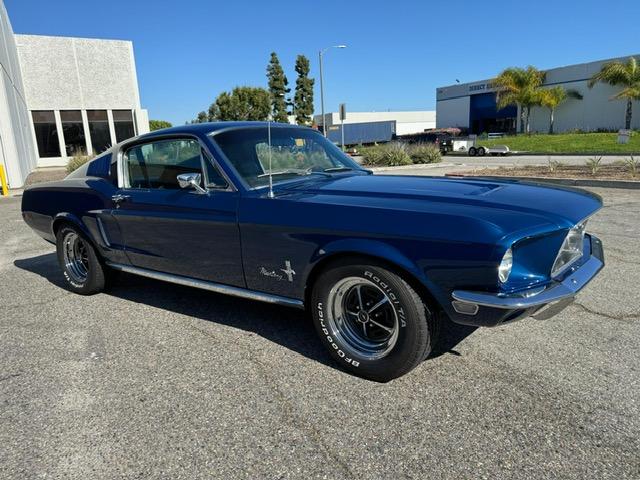 Mustang image 3