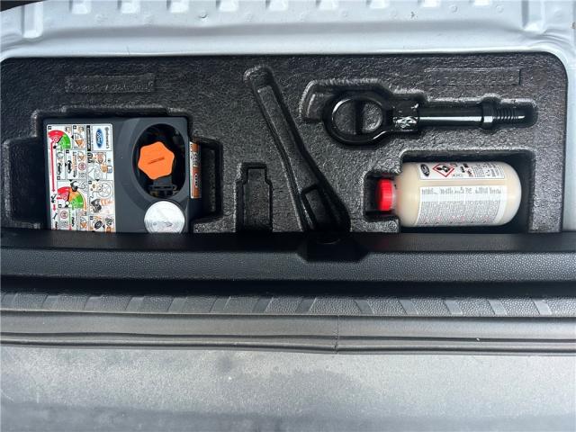 Ford Ecosport image 1