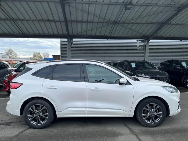 Ford Kuga image 5