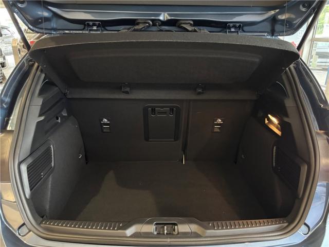 Ford Focus image 6