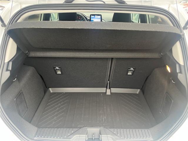 Ford Fiesta image 3