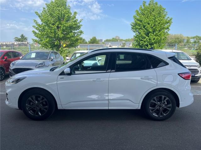 Ford Kuga Iii 2.5 Duratec 190 Ch Flexifuel Fhev E85 Powershift St-Line
