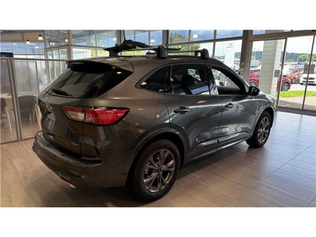 Ford Kuga image 4