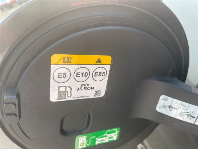 Ford Puma image 5