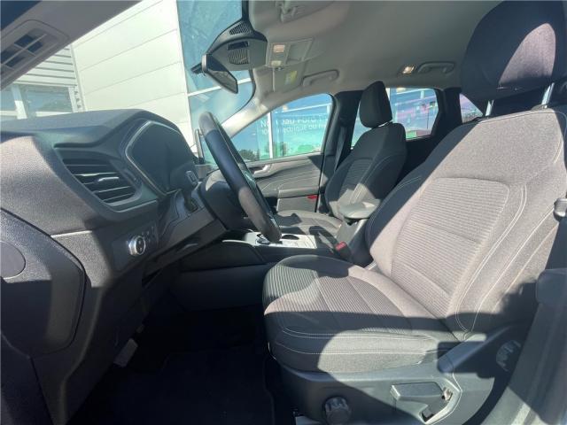 Ford Kuga image 7