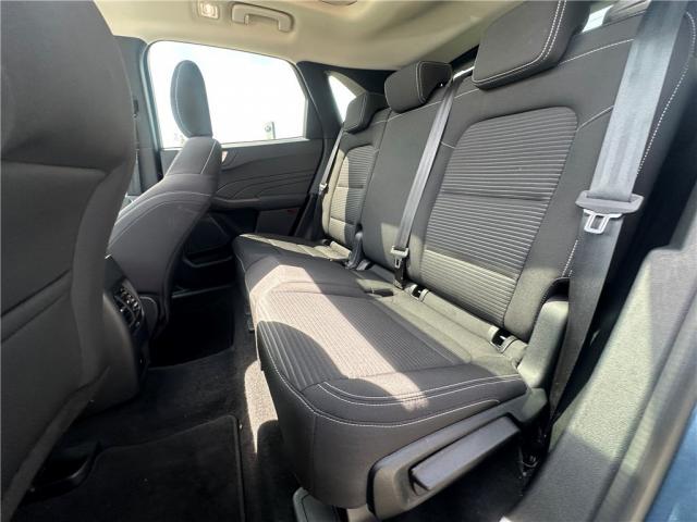 Ford Kuga image 6