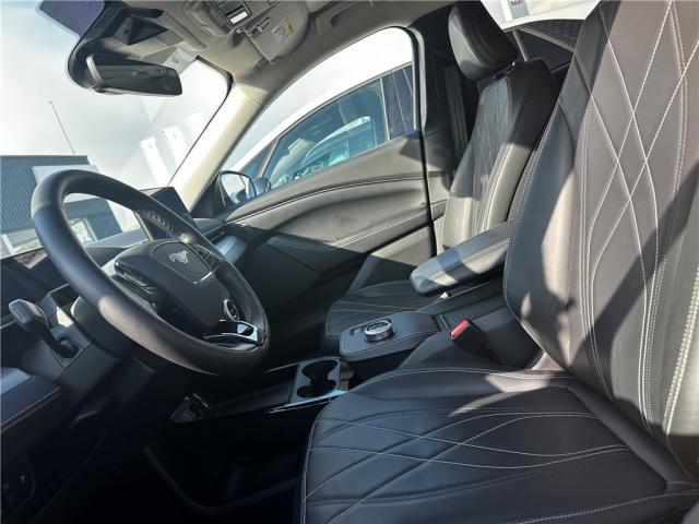 Ford Mustang image 1