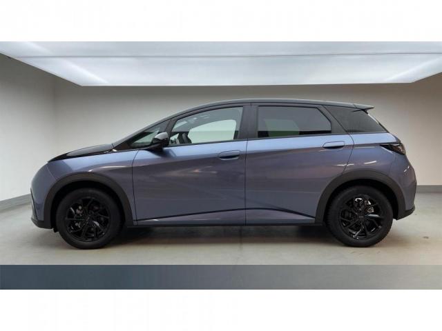 Byd Dolphin image 2