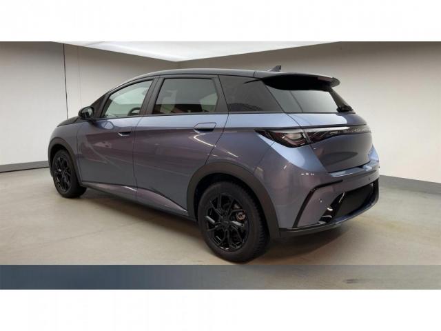 Byd Dolphin image 1