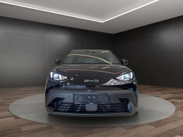 Byd Dolphin image 4