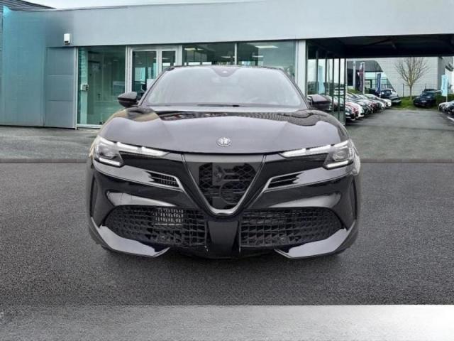 Alfa Romeo Junior image 2