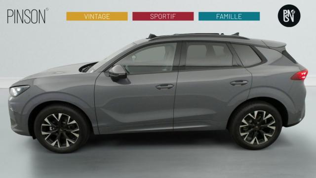 Cupra Terramar image 4