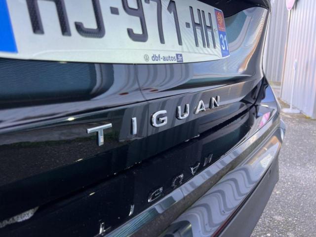 Volkswagen T1 image 4