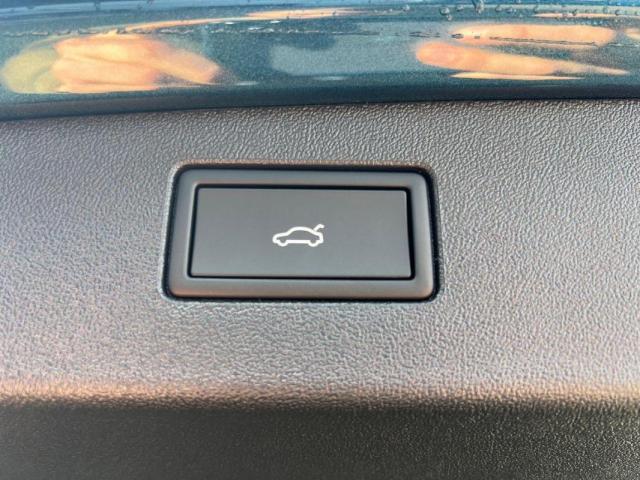 Volkswagen T1 image 3