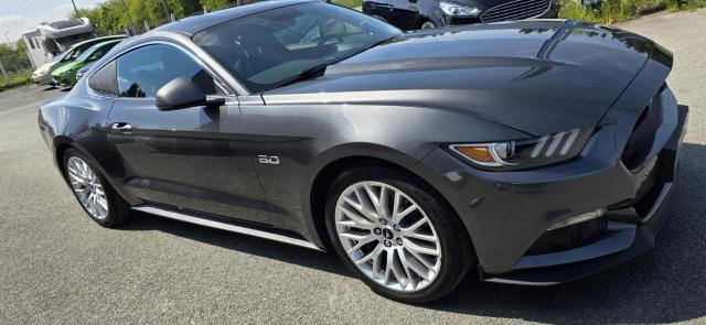 Ford Mustang image 4