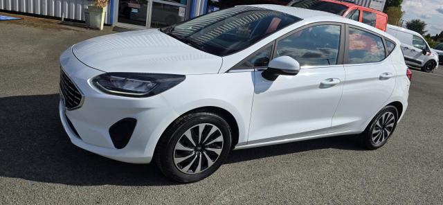 Ford Fiesta 1.0 95 Titanium Business Flexifuel E85