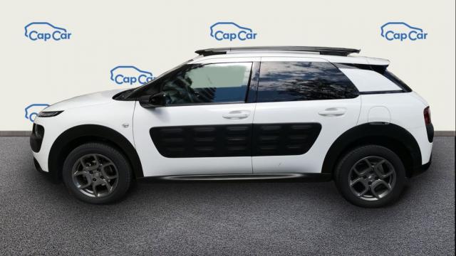 C4 Cactus image 7