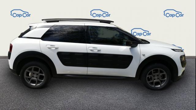 C4 Cactus image 2