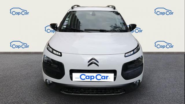 C4 Cactus image 9