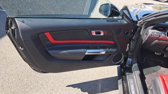 Ford Mustang image 1