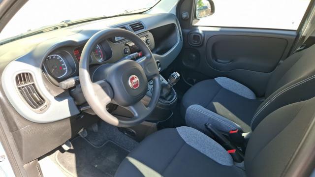 Fiat Panda image 3