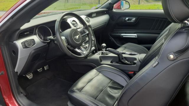 Ford Mustang image 5