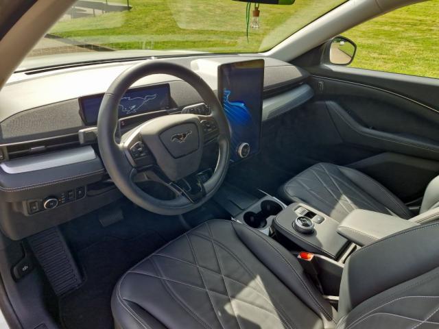 Ford Mustang image 4