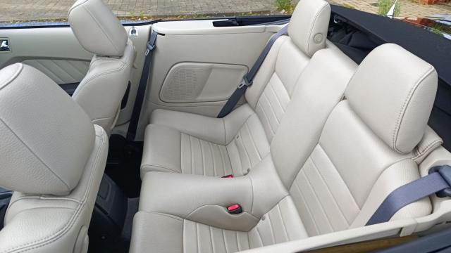 Ford Mustang image 4