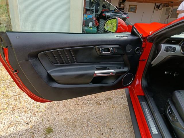 Ford Mustang image 8