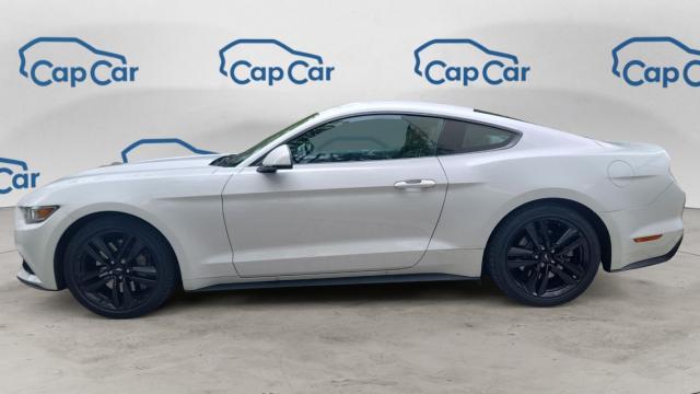 Ford Mustang image 1