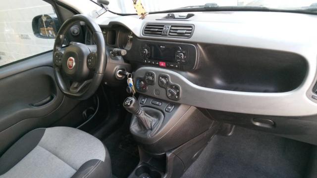 Fiat Panda image 8
