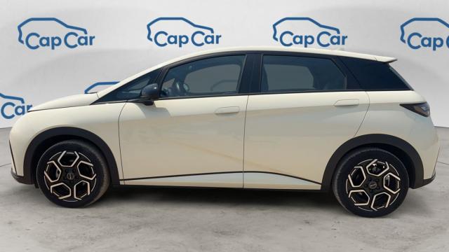 Byd Dolphin image 1