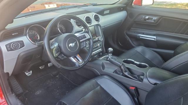 Ford Mustang image 1