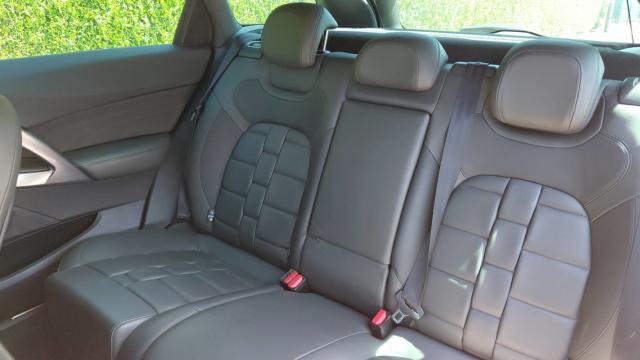 Ds Ds 5 image 5