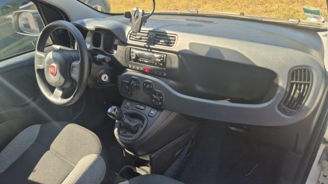Fiat Panda image 6