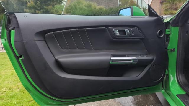 Ford Mustang image 5