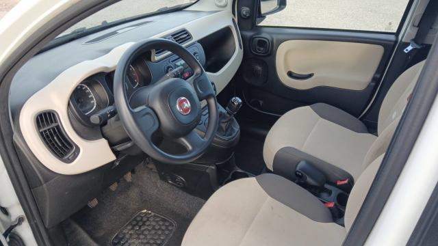 Fiat Panda image 6