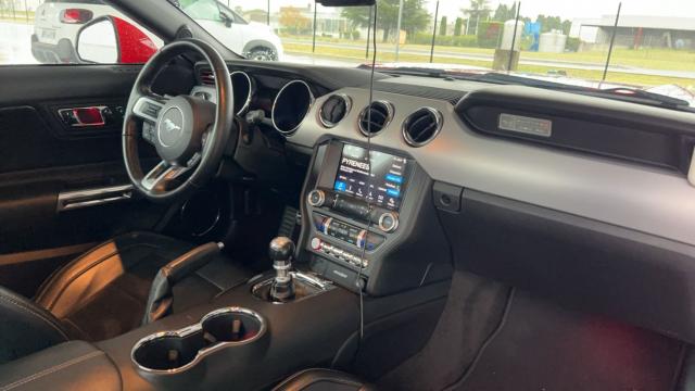 Ford Mustang image 6